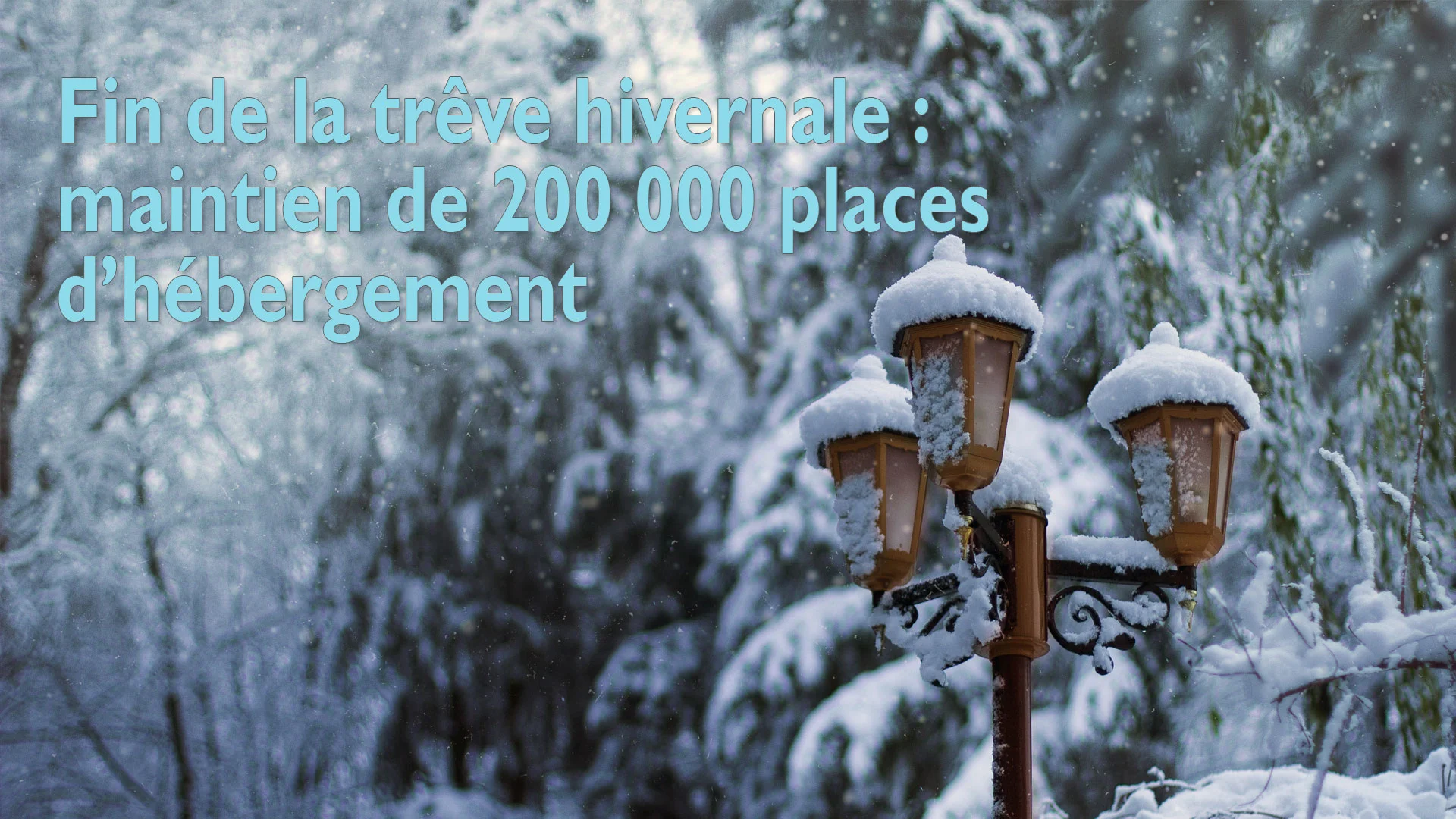 fin de la trêve hivernale