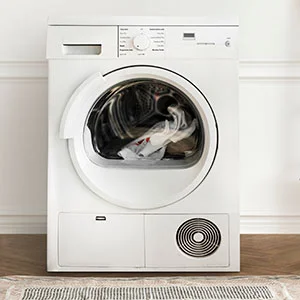 punaise de lit machine à laver