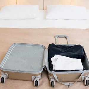 punaise de lit bagage
